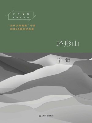 cover image of 环形山